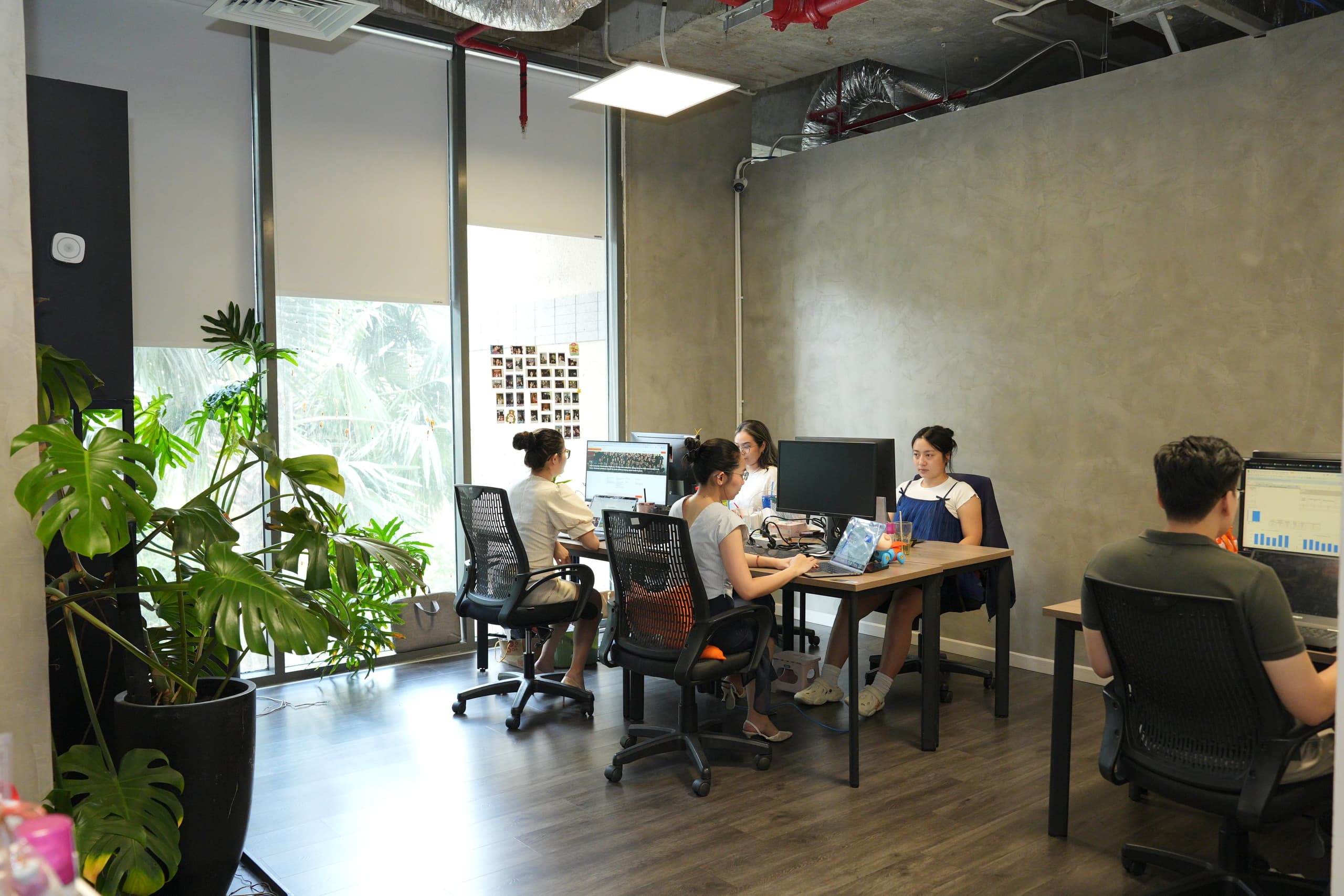 SMB Software Leader
