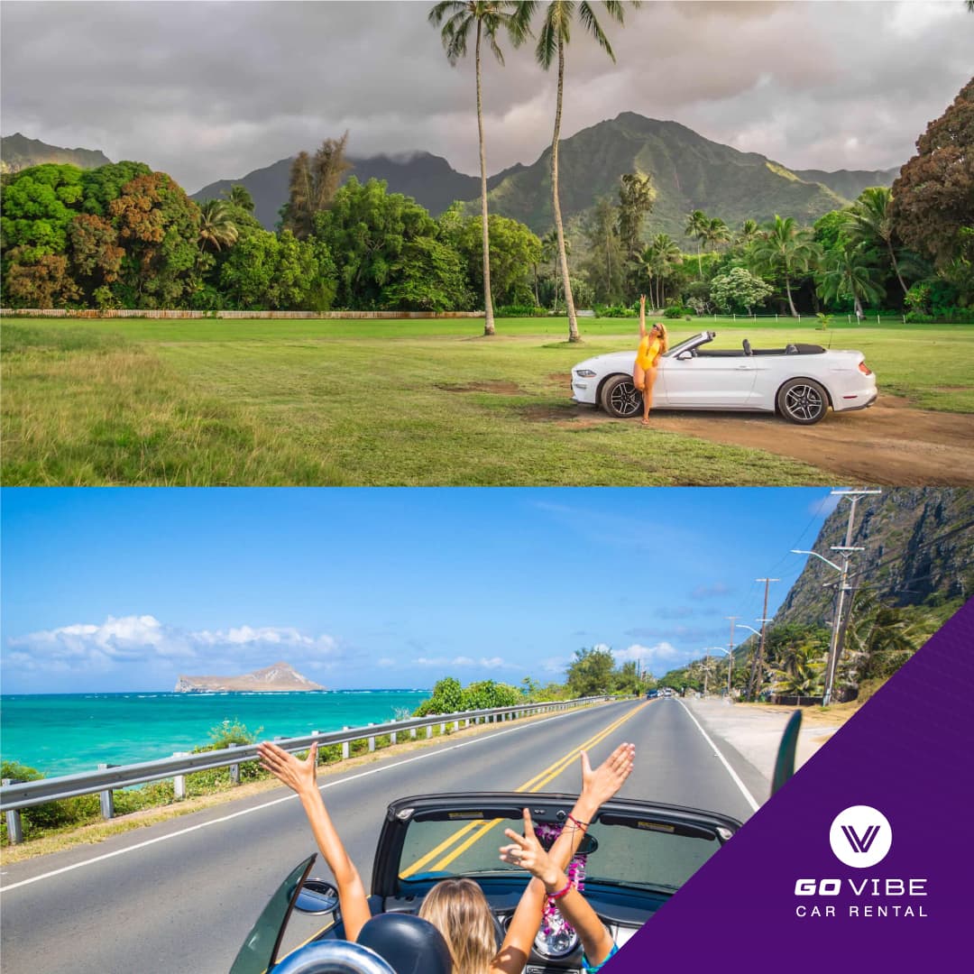 gradion-govibe-image-4.