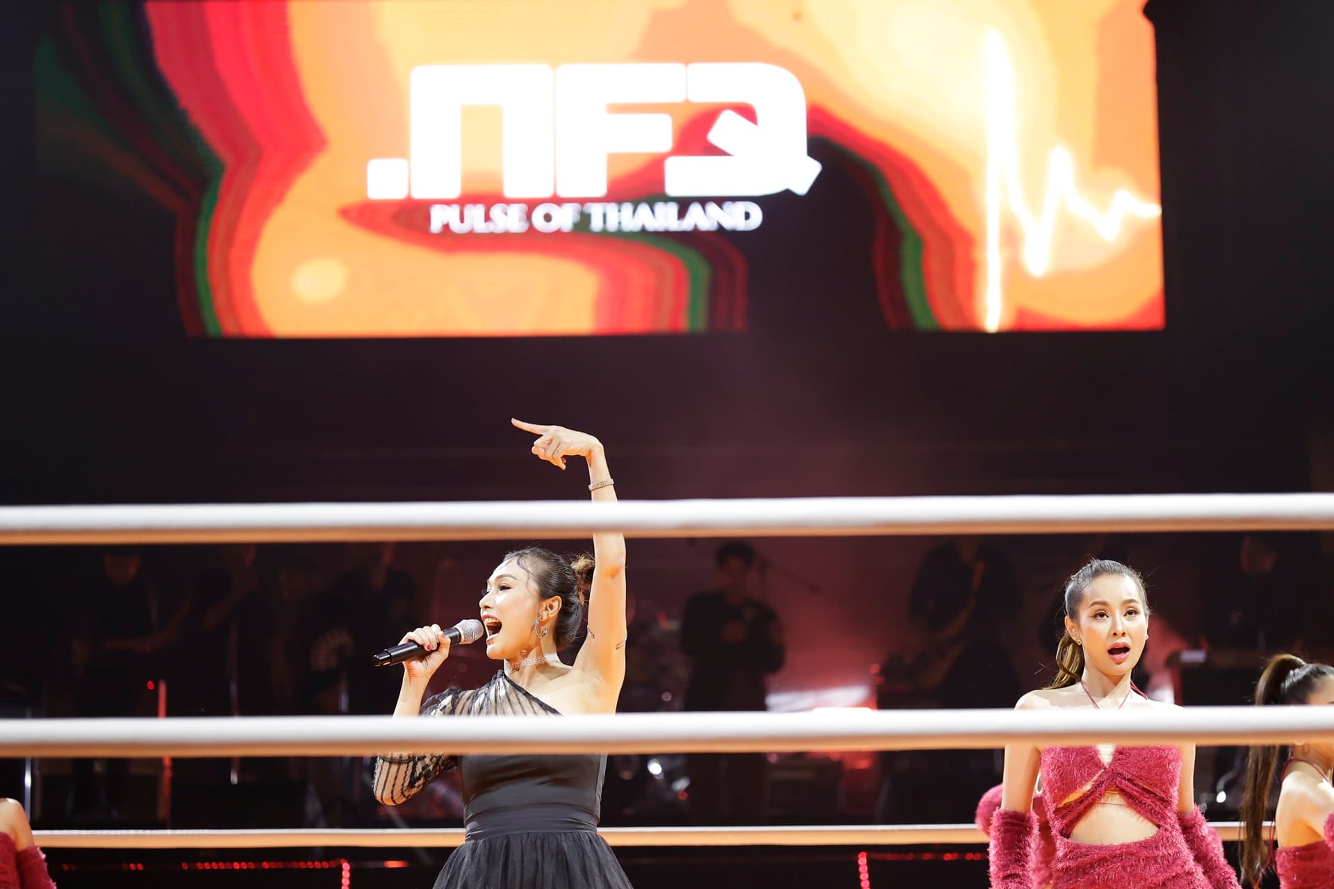 Pulse Of Thailand Wrestling Event Performance