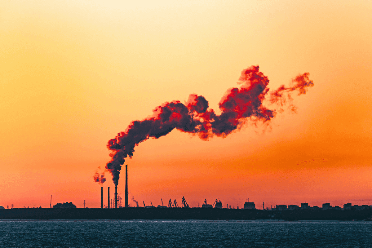 The EU Carbon Border Adjustment Mechanism: What DACH and Vietnamese Manufacturers Need to Know